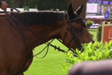 Equitazione. Piazza di Siena, a Irlanda Coppa Nazioni Intesa Sanpaolo