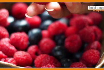 Sorsi di benessere – Una gustosa mousse ricca di proteine