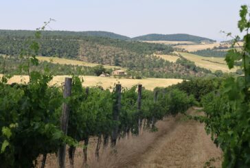 La seconda vita: dopo la pensione si apre un’azienda agricola