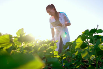 Nell'agroalimentare perse 21 mila imprese in 3 anni
