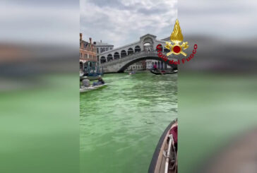 Chiazza verde nel Canal Grande di Venezia, le immagini