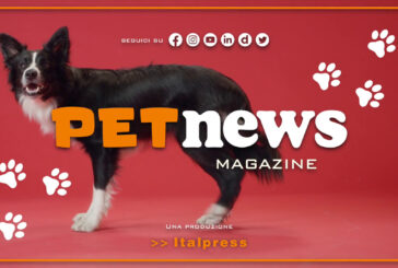 PetNews Magazine – 30/5/2023