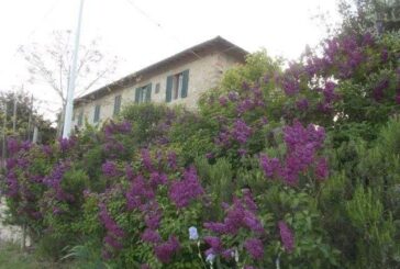 Il lilla di Villa a Sesta: una parete di profumo e colore