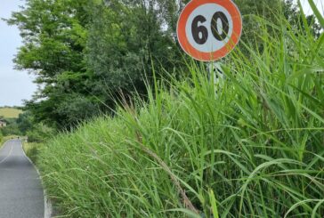 Buonconvento: “I tagli alla manutenzione metto a rischio la sicurezza stradale”