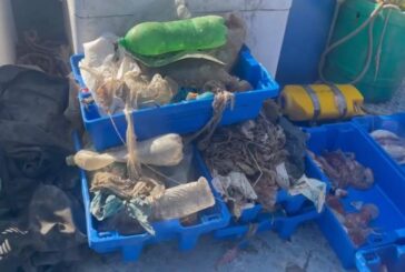Più plastica che pesci, Marevivo "Non dobbiamo aspettare il 2050"