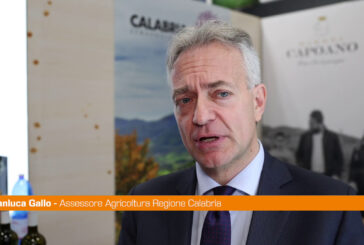 Calabria, Gallo "Efficace azione di promozione nel mondo"