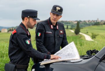 Tagli boschivi in aree vincolate: intervengono i Carabinieri Forestali