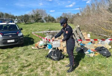 Combustione illecita di rifiuti: intervengono i Carabinieri Forestali