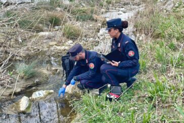 Sversamento di idrocarburi a Chianciano: due denunce dei Carabinieri Forestali