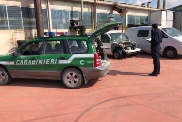 Inquinamento idrico e gestione illecita dei rifiuti: intervengono i Carabinieri forestali