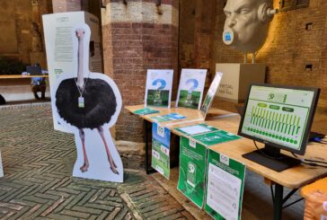 Grande partecipazione per “Siena Next”