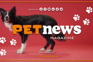 PetNews Magazine – 18/7/2023