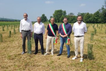 Arbolia, in Lombardia un nuovo bosco urbano da 3 mila piante