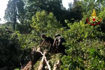 Emergenza maltempo in Veneto, Zaia "110 feriti"