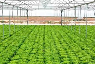 Agricoltura, da TerrAmore formazione nel segno della sostenibilità