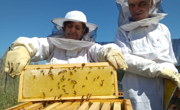 Coldiretti: “La guerra in Iran “colpisce” l’alveare toscano”