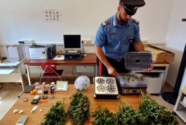 Due denunce dei Carabinieri per detenzione ai fini di spaccio di stupefacenti