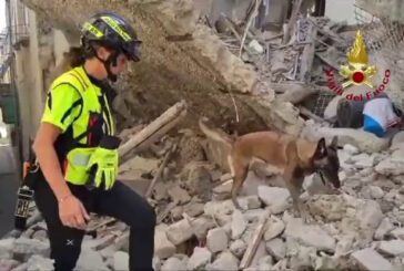 Unità cinofile al lavoro dopo crollo palazzina a Torre del Greco