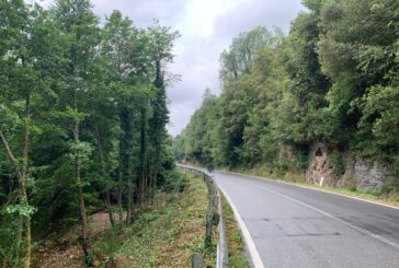 Il CB6 rimuove piante pericolanti nell’area artigianale di Rosia