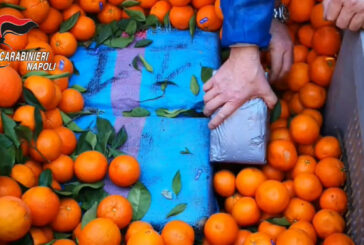Tonnellate di droga tra la frutta, 7 misure cautelari a Napoli