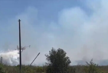 In fiamme cinque ettari di macchia mediterranea nel Tarantino