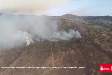Spagna, in fiamme i boschi di Tenerife