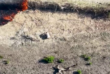 Incendi, drone incastra un piromane in Calabria