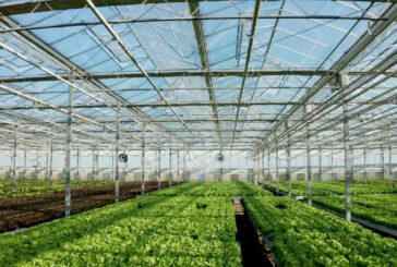 Le aziende agricole sono sempre più green