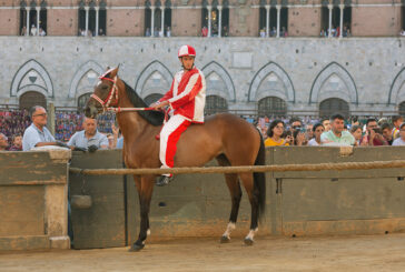 Abbasantesa e Antine Day trasportati alla clinica veterinaria