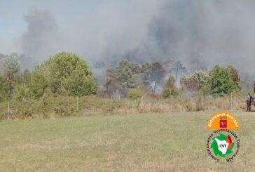 Incendio boschivo in un podere di Asciano