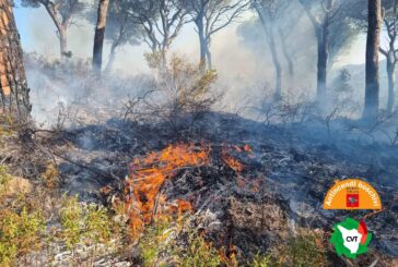 Autopalio: incendio boschivo in atto a Tavarnuzze