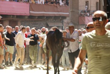 Verso la stalla… (Fotogallery)