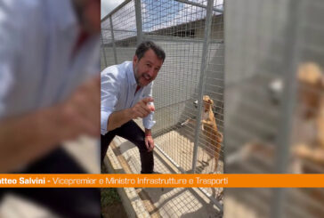 Salvini visita canile "Importante aprire le porte ai cuccioli"