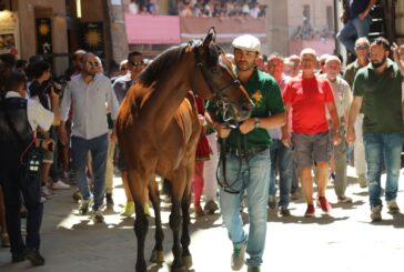 Palio: la prima prova è del Drago