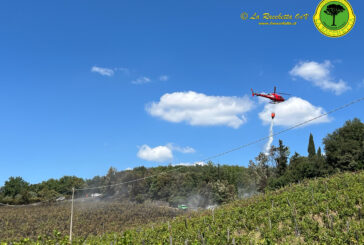 Incendio a Villa Buoninsegna: bruciata una vigna e parte di un bosco