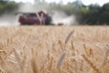 Cresce l'insicurezza alimentare