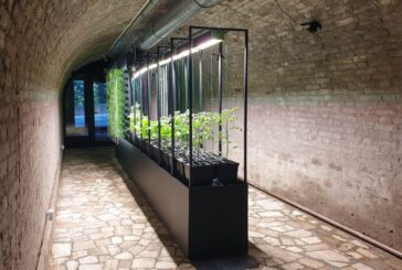 Torrita: una vertical farm nei sotterranei del centro storico