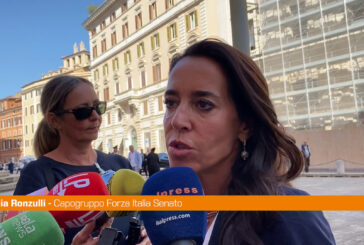 Ronzulli "Rimpasto di Governo non all'ordine del giorno"