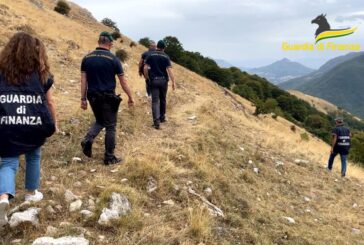 Maxi truffa all'Ue per "pascoli fantasma", arresti e sequestri