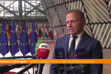 Agricoltura, Lollobrigida "Ue difenda asset strategico"