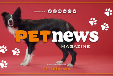 PetNews Magazine – 19/9/2023