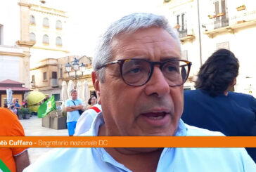 Cuffaro "Bisogna aiutare i viticoltori"