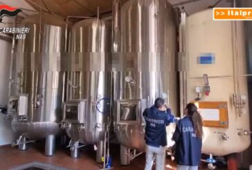 Controlli dei Nas, sequestrati 300 mila litri di vini e multe per 290 mila euro