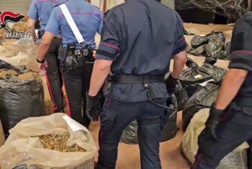 Sequestrate nel reggino tre tonnellate di cannabis