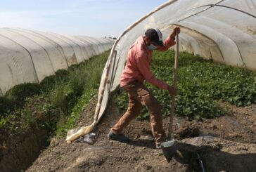 Accordo Italia-Tunisia per 4mila lavoratori anno non stagionali