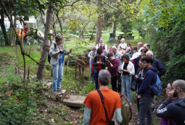 Torna il Mini BioBlitz d’autunno al bosco di Busseto