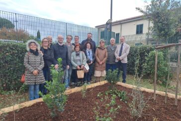 Alla Primaria di Ulignano parte la piantagione del bosco didattico