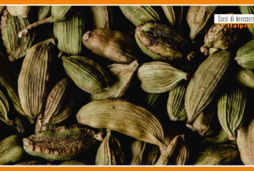 Sorsi di benessere – Una tisana dopo pasto che favorisce la digestione