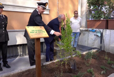 Ospedali più green, al via il progetto "Un albero per la salute"