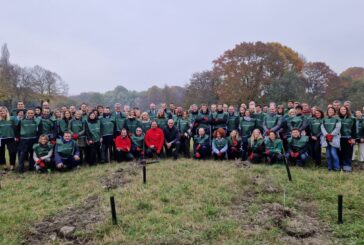 Parte da Torino il progetto per la riforestazione "Think Forestry"